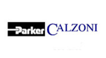 Calzoni