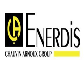 ENERDIS监视器 电能表功率监视器