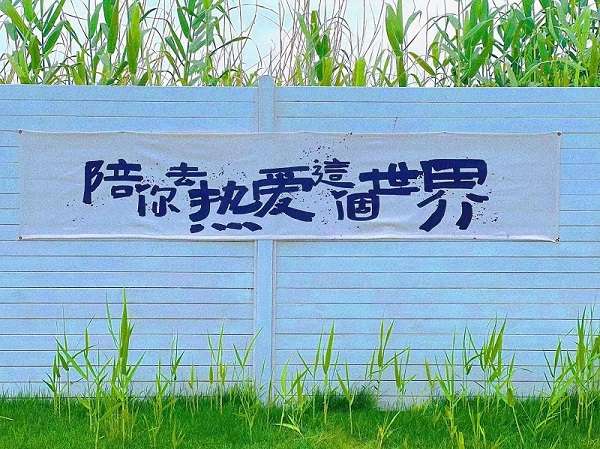 2023.5.20一起去松江露营吧！