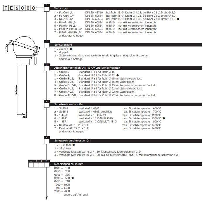Tematec 热电偶 TE6000 特马泰克 Tematec GmbH