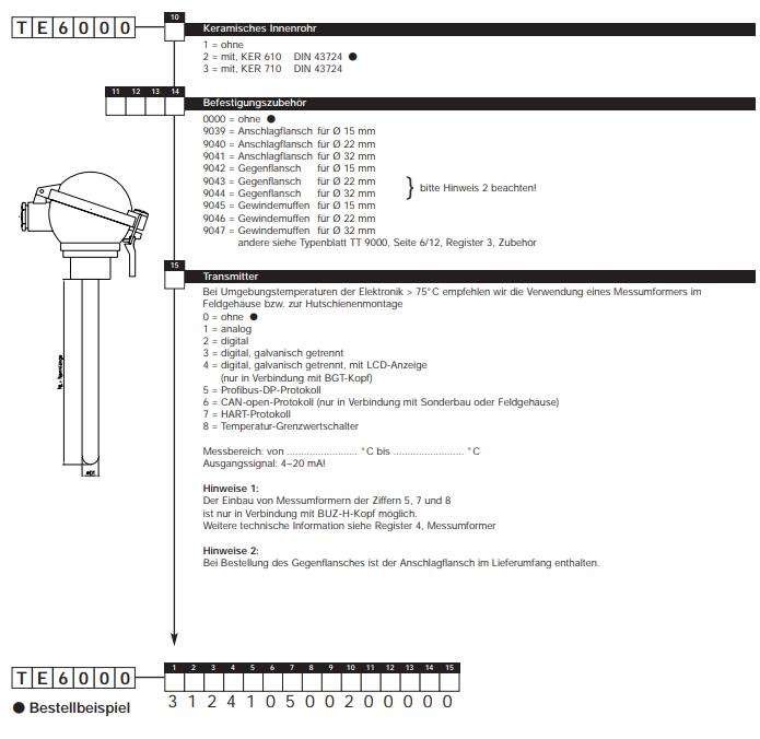 Tematec 热电偶 TE6000 特马泰克 Tematec GmbH