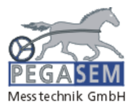 PEGASEM