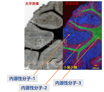谱策Omin PI光电离质谱成像源