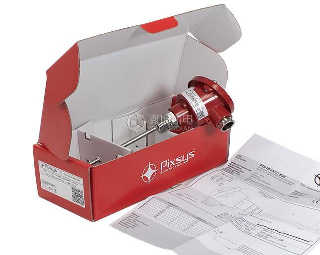 PIXSYS 铠装热电阻温度计：PIXSYS PT100B-6X300-A316-1/2F-DIN/B-MGO
