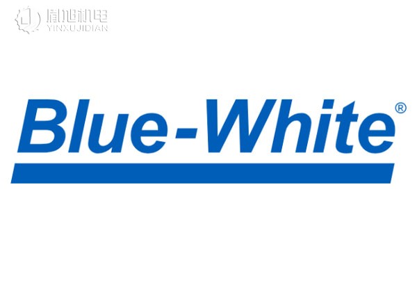 Blue-White 化工计量泵 流量计 水分析仪