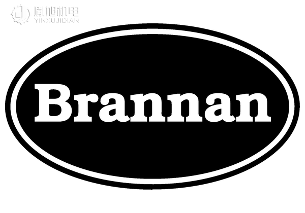 Brannan 温度计 压力表