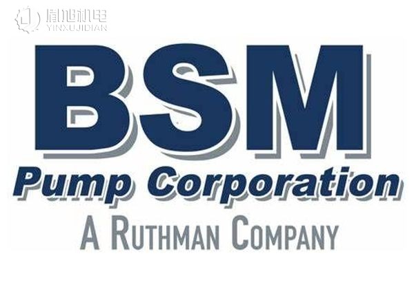 BSM Pump 叶片泵 离心泵 齿轮泵