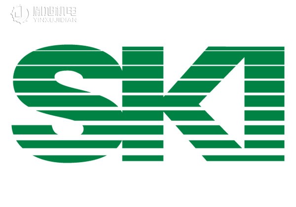 （S.K.I.）SKI SDF传感器 质量流量计
