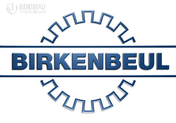BIRKENBEUL 电机：百年驱动技术的定制化专家