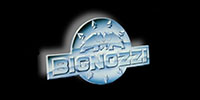 Bignozzi
