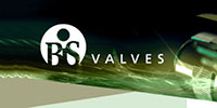BisValves