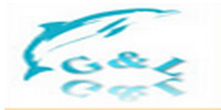 GL Electronic GL Electronic
