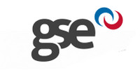 GSE International