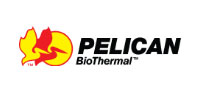 Pelican