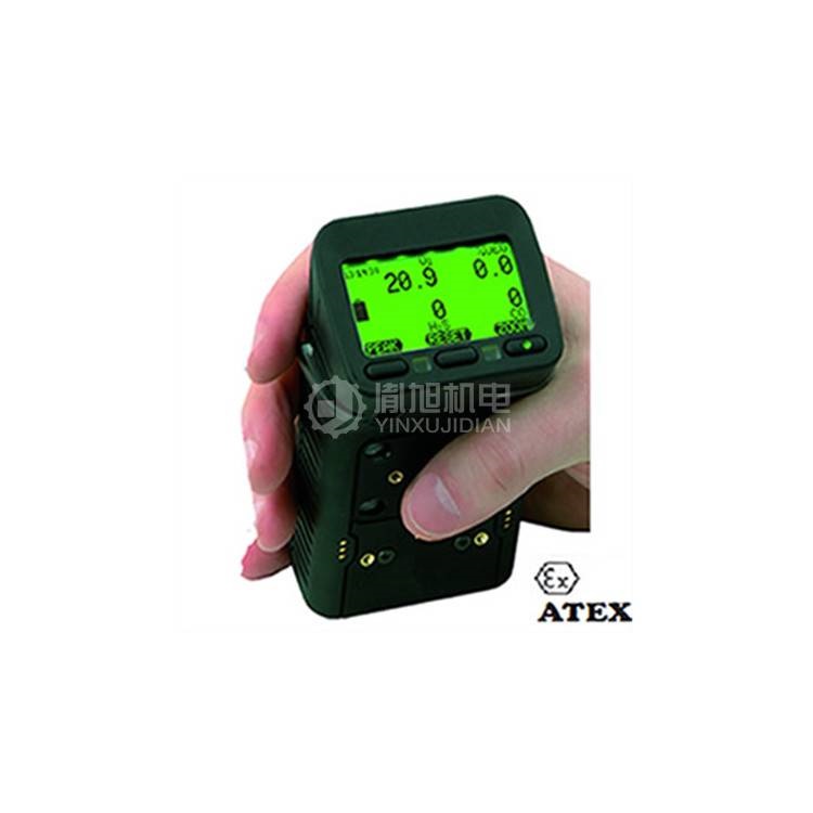 TECNOCONTROL NE700G-G450 - TECNOCONTROL便携式多气体监测仪NE700G-G450