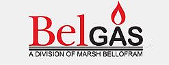 BelGAS