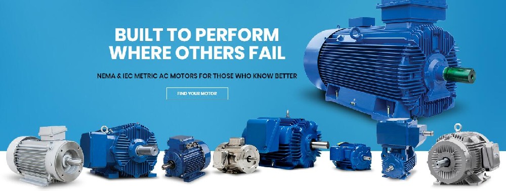 Elektrim 电机 Elektrim 2sg 200L4 / DS Motor 3SIE 200 L-4