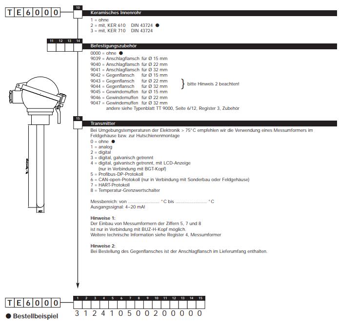 Tematec 热电偶 TE6000 特马泰克 Tematec GmbH
