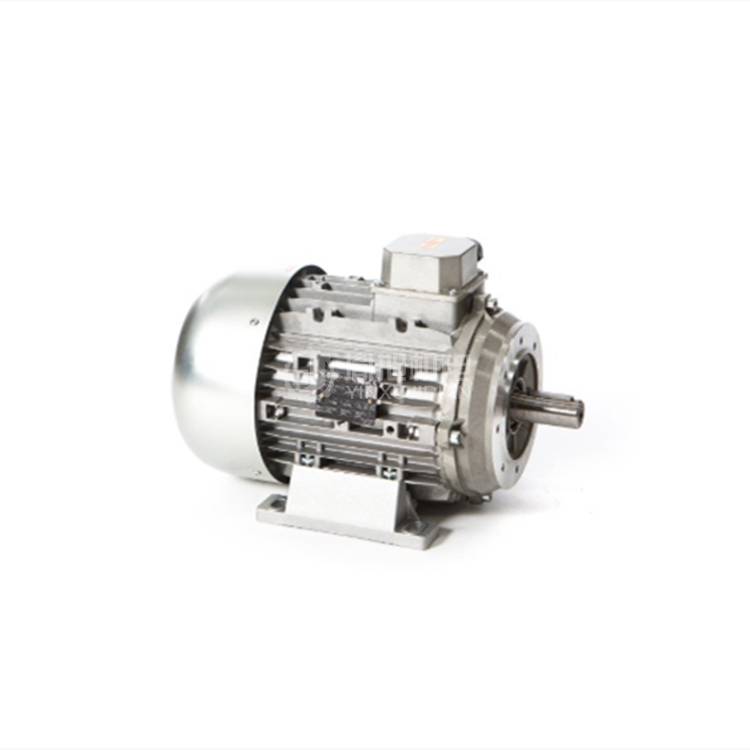 VALTARO MOTORI三相电机50 A2 - VALTARO MOTORI 50 A2