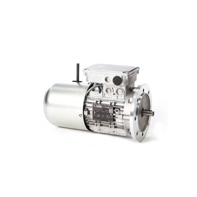 VALTARO MOTORI制动电机63 A2 - VALTARO MOTORI 63 A2