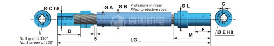 FIAMA弹性联轴器AF-M - FIAMA AF-M FIAMA弹性联轴器AF-M - FIAMA AF-M